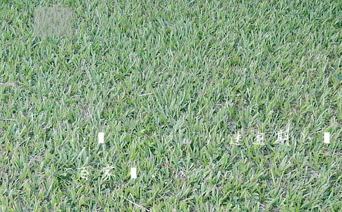 小財(cái)迷逾期(小財(cái)迷大百家號(hào))
