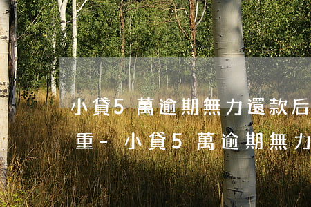 小貸5萬逾期無力還款后果多嚴(yán)重-小貸5萬逾期無力還款后果多嚴(yán)重啊