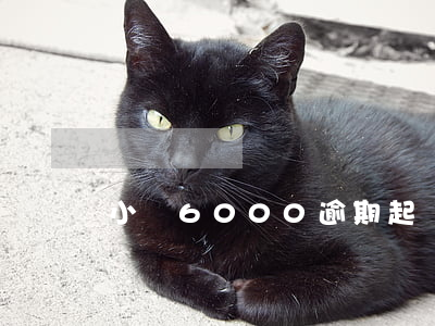 小貸6000逾期起訴(貸款一千元逾期被起訴)
