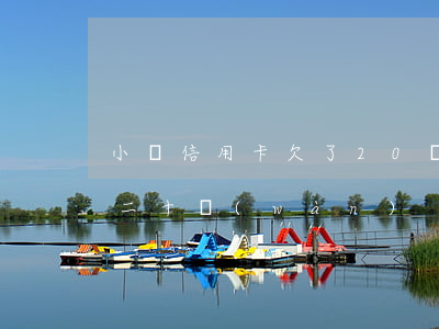 小貸信用卡欠了20萬(wàn)(欠信用卡二十萬(wàn))