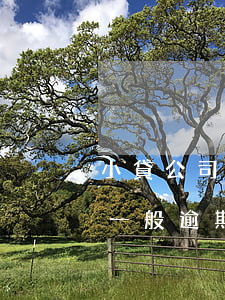 小貸公司一般逾期什么時候催債-小貸公司一般逾期什么時候催債呢