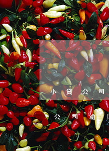 小貸公司的逾期貸款風(fēng)險(小貸公司逾期不還會怎么樣)