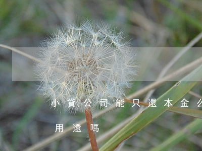 小貸公司能只還本金么(小貸公司本金還清還用還嗎)