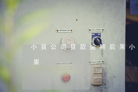 小貸公司貸款逾期后果(小貸公司貸款逾期后果)