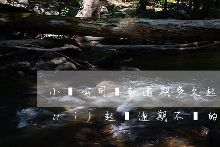 小貸公司貸款逾期多久起訴 小貸公司會(huì)起訴逾期不還的客戶嗎