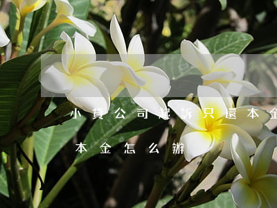 小貸公司起訴只還本金-小貸公司起訴只還本金怎么辦