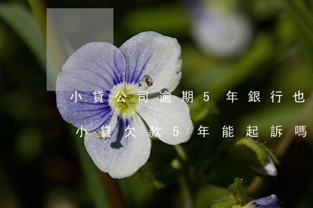 小貸公司逾期5年銀行也沒(méi)起訴(小貸欠款5年能起訴嗎)