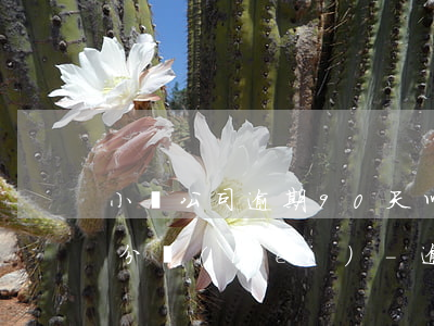 小貸公司逾期90天以上貸款五級(jí)分類(lèi)-逾期90天以上貸款五級(jí)分類(lèi)不優(yōu)于