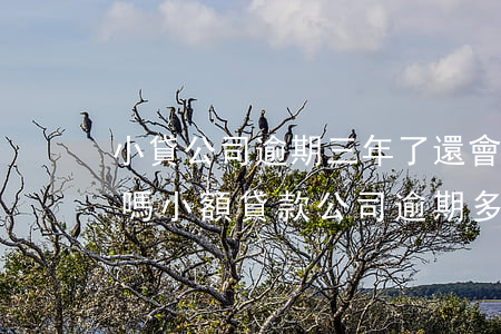 小貸公司逾期三年了還會(huì)被起訴嗎 小額貸款公司逾期多久起訴有效
