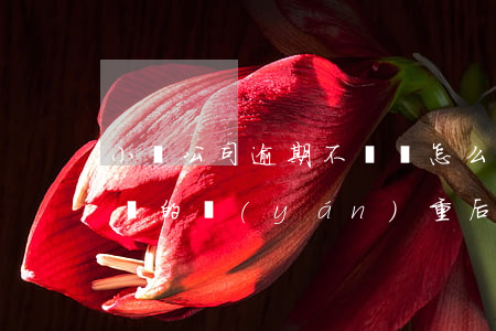 小貸公司逾期不還會怎么樣，小貸公司逾期未還的嚴(yán)重后果