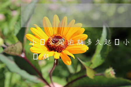 小貸公司逾期多久起訴(小貸公司欠款有效訴訟期)