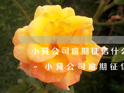 小貸公司逾期征信什么時(shí)候消除-小貸公司逾期征信什么時(shí)候消除記錄