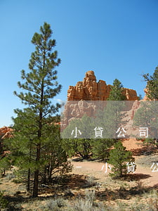 小貸公司逾期會不會凍結(jié)信用卡-小貸公司逾期會不會凍結(jié)信用卡賬戶