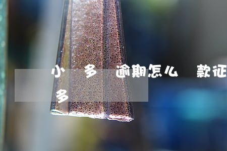小貸多無逾期怎么貸款(征信無逾期但是小貸多)