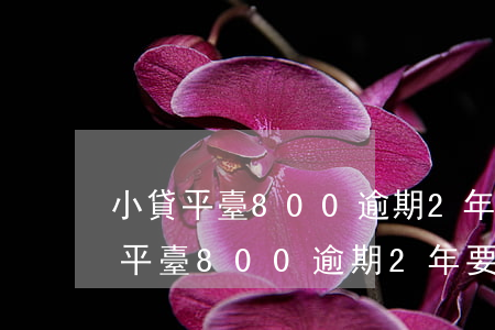 小貸平臺800逾期2年要還多少錢-小貸平臺800逾期2年要還多少錢利息