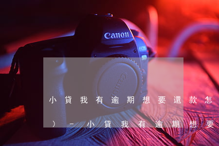小貸我有逾期想要還款怎么找平臺(tái)-小貸我有逾期想要還款怎么找平臺(tái)協(xié)商