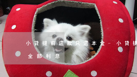 小貸提前還款只還本金-小貸提前還款要收全部利息
