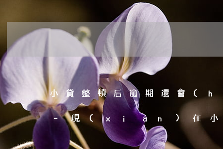 小貸整頓后逾期還會(huì)炸通訊錄嗎-現(xiàn)在小貸逾期還爆通訊錄嗎