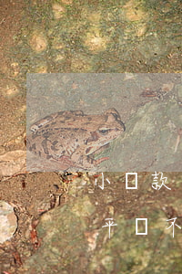 小貸款平臺不上征信的不還可以嗎-小貸款平臺不上征信的不還可以嗎知乎