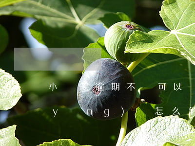 小貸款逾期不還可以嗎(小貸逾期還不上應(yīng)該怎么解決)