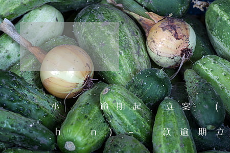 小貸貸逾期起訴立案標(biāo)準(zhǔn)-貸款逾期立案標(biāo)準(zhǔn)