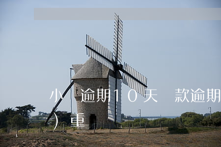 小貸逾期10天(貸款逾期十幾天嚴(yán)重嗎)