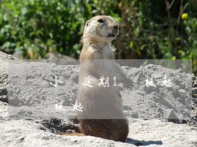 小貸逾期1會被起訴嗎(小貸逾期多少金額會被起訴)