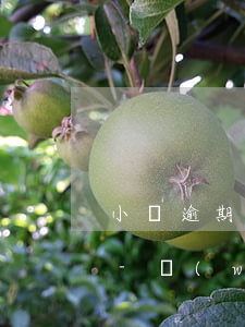小貸逾期一個(gè)信封夾在我的門縫里-網(wǎng)貸逾期收到信封
