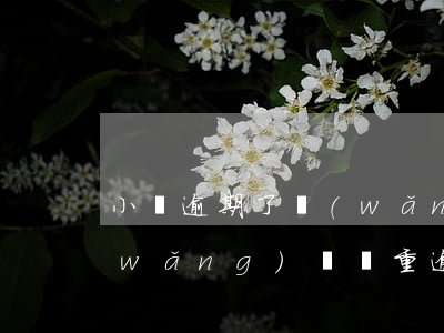 小貸逾期了網(wǎng)貸還能貸么(網(wǎng)貸嚴重逾期還能貸嗎)