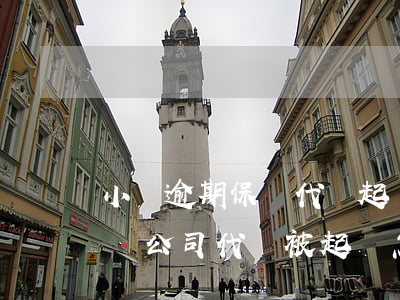 小貸逾期保險代償起訴會勝訴嗎(銀行貸款保險公司代償被起訴怎么辦)
