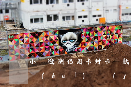 小貸逾期 信用卡封卡(貸款及信用卡逾期久了會(huì)凍結(jié)名下所有卡嗎)