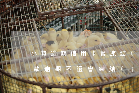 小貸逾期信用卡會凍結(jié)嗎(小額貸款逾期不還,會凍結(jié)銀行卡嗎)
