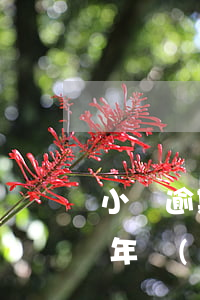 小貸逾期十年沒(méi)起訴(小貸逾期十年沒(méi)起訴)