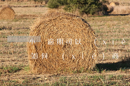 小貸逾期可以協(xié)商還款(貸款逾期如何協(xié)商)