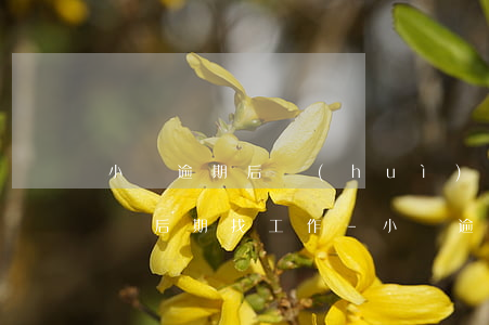小貸逾期后會(huì)不會(huì)影響后期找工作-小貸逾期后會(huì)不會(huì)影響后期找工作呢