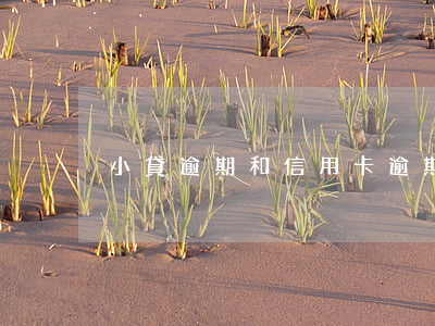 小貸逾期和信用卡逾期(小金額信用卡逾期)