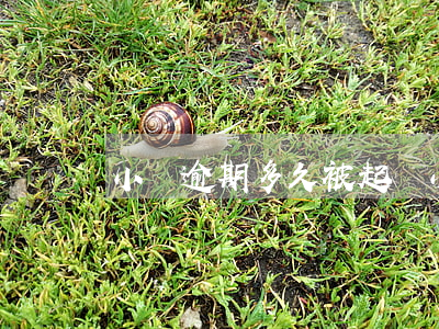 小貸逾期多久被起訴(小額貸逾期多久會被起訴)