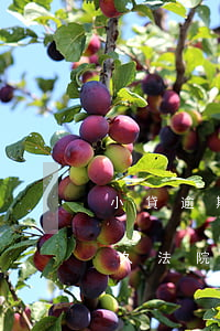 小貸逾期多久起訴(小額貸款逾期多久起訴多久法院會(huì)判決)