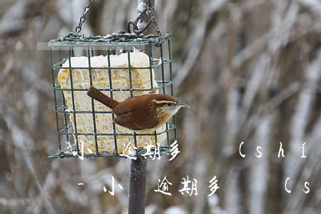 小貸逾期多長時(shí)間對我有影響嗎-小貸逾期多長時(shí)間對我有影響嗎知乎