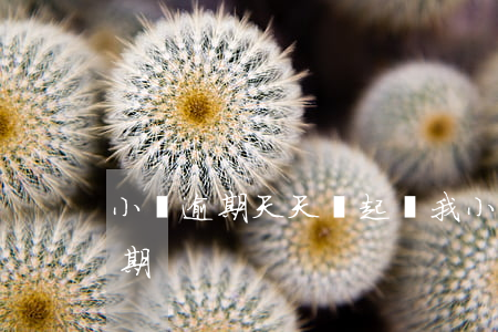 小貸逾期天天說起訴我(小貸為什么不起訴逾期)