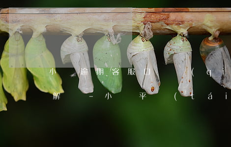 小貸逾期客服口氣強(qiáng)硬如何解決-小貸平臺(tái)逾期