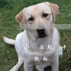 小貸逾期幾年了為什么不起訴(小貸逾期五年還能起訴嗎)