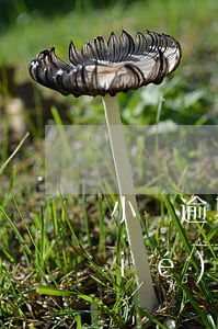 小貸逾期建設(shè)信用卡被凍結(jié)(因逾期信用卡被凍結(jié))