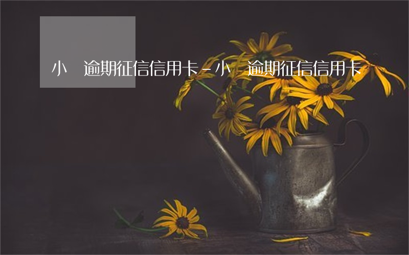 小貸逾期征信 信用卡-小貸逾期征信 信用卡