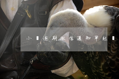 小貸逾期微信通知早起訴