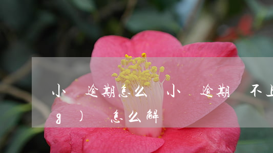 小貸逾期怎么辦(小貸逾期還不上應(yīng)該怎么解決)