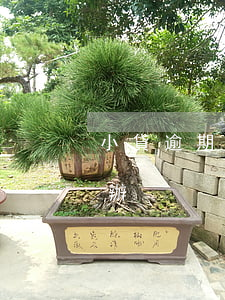 小貸逾期扣車起訴被要回 車貸逾期起訴怎么辦
