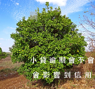 小貸逾期會不會影響到信用卡 小貸逾期會不會影響到信用卡