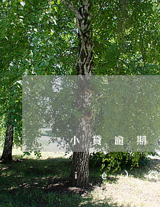 小貸逾期有沒有權(quán)利凍結(jié)微信零錢-小貸逾期有沒有權(quán)利凍結(jié)微信零錢呢