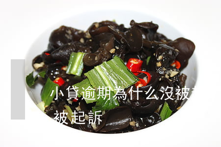 小貸逾期為什么沒被起訴 小貸逾期為什么沒被起訴